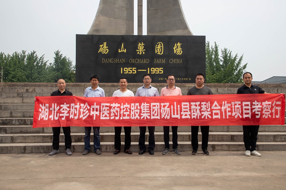 梨膏项目更进一步!湖北李时珍中医药控股集团赴砀山县实地考察交流! 梨膏项目更进一步!湖北李时珍中医药控股集团赴砀山县实地考察交流!