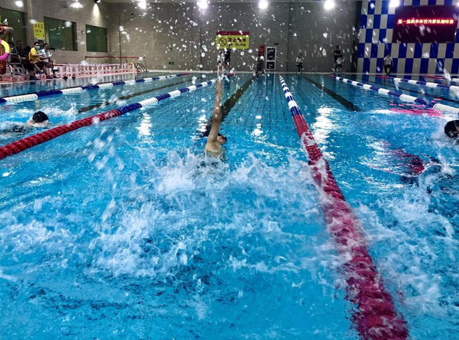 “泳”往直前 | 中加枫华国际学校小学部第一届校内游泳比赛！