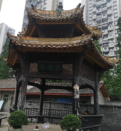 學(xué)史力行 開(kāi)展參觀史館和社會(huì)主義新農(nóng)村實(shí)踐活動(dòng) 