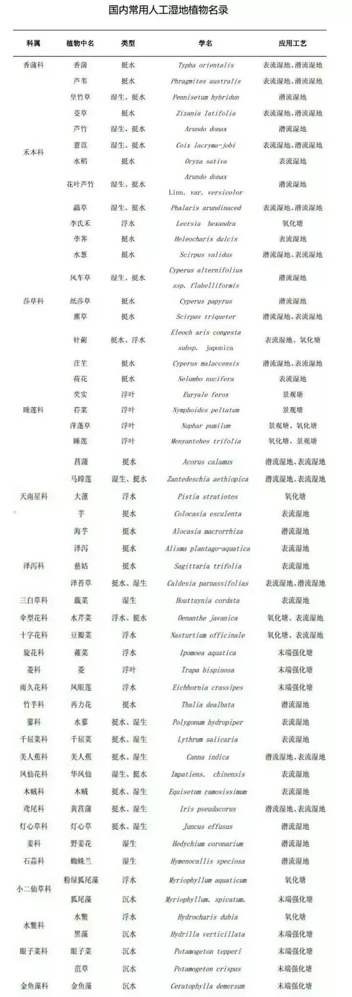 干货|详解人工湿地常见水生植物特性、功能及其分类! 干货|详解人工湿地常见水生植物特性、功能及其分类!