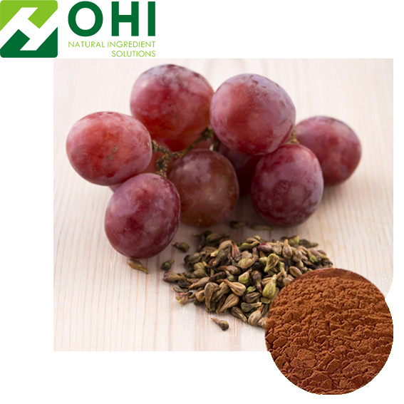 Grape Seed Extract