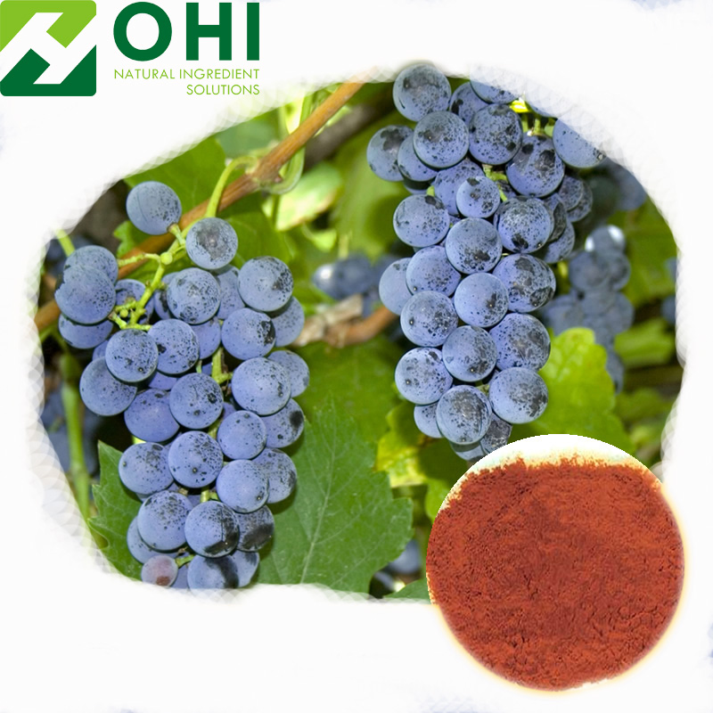 Grape Skin Extract
