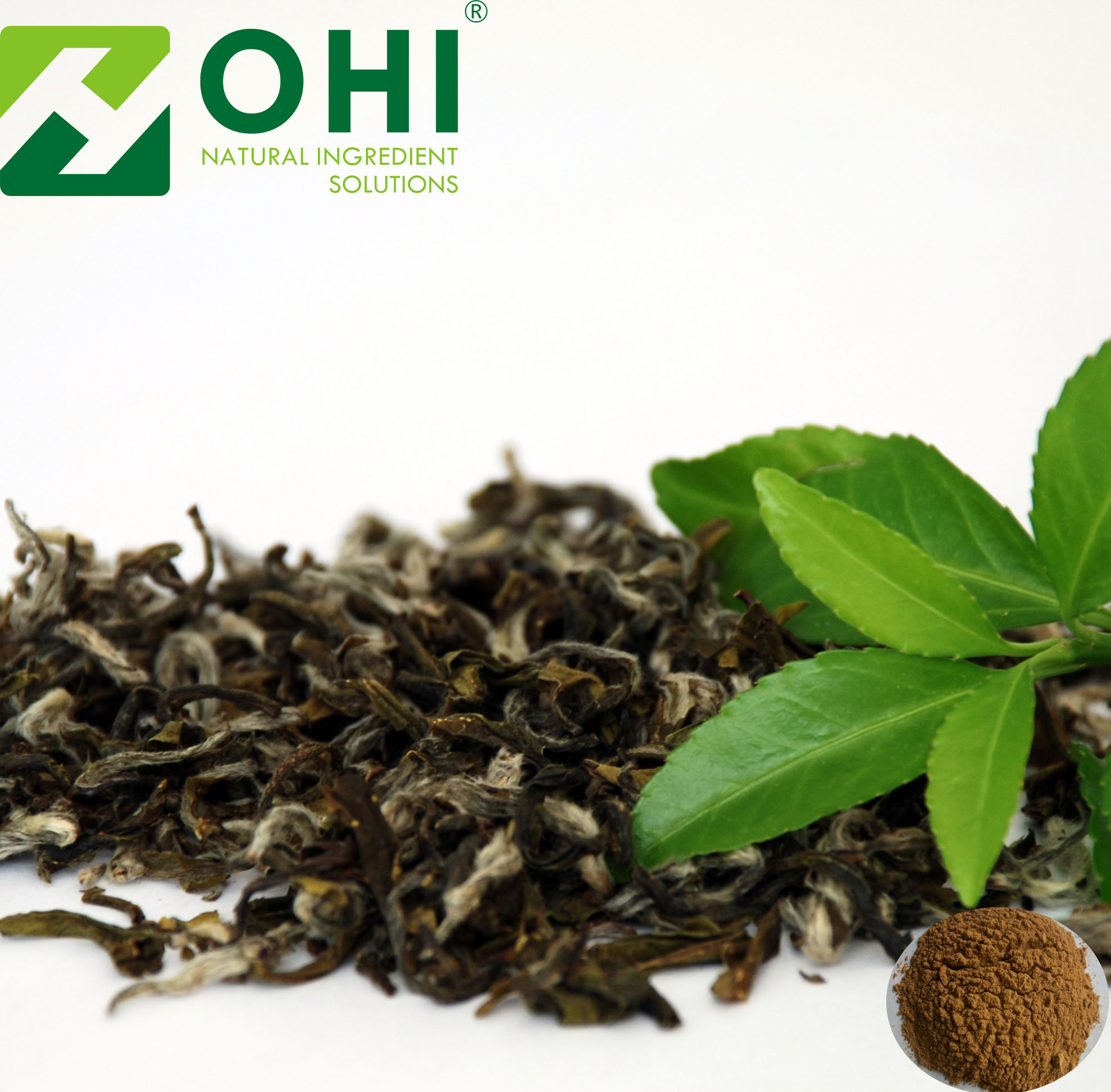 green tea extract