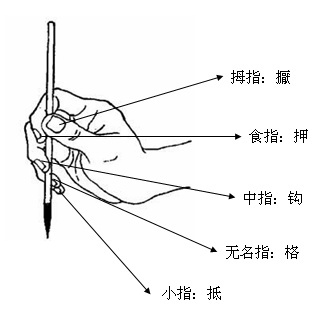 零基礎(chǔ)書法知識大科普