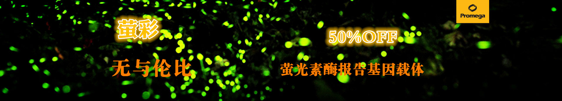 萤光素酶工具载体五折促销