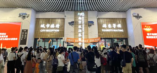 南京旅游集散中心新開“南京-太湖龍之夢”旅游直通車!