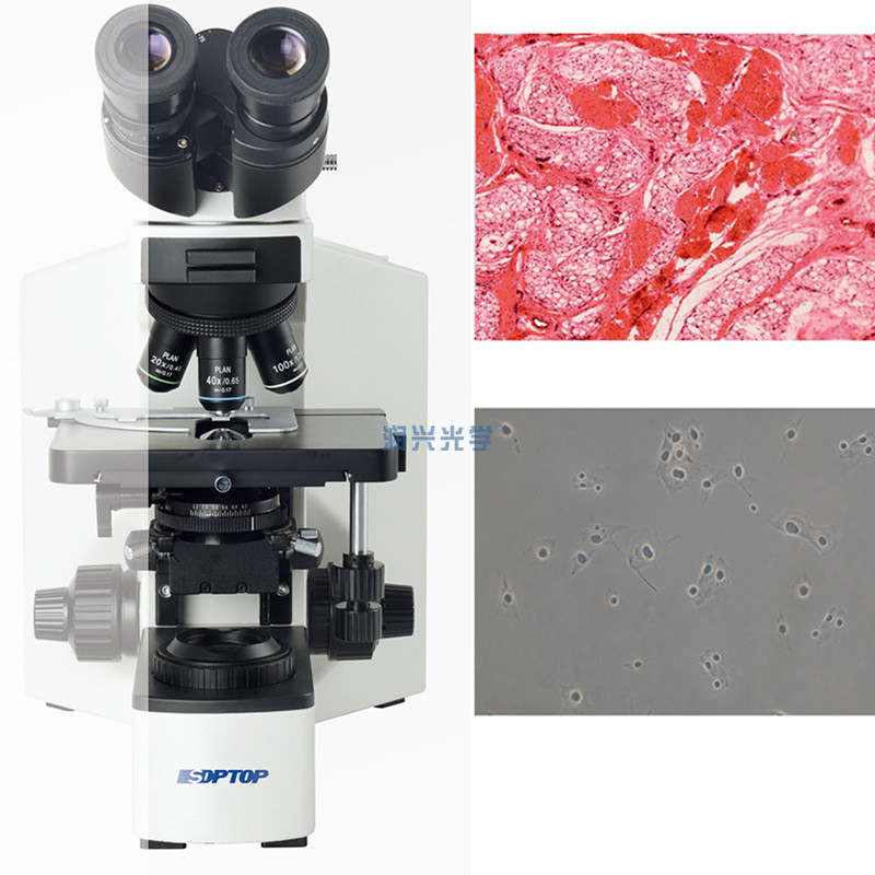 CX40实验室科研生物显微镜