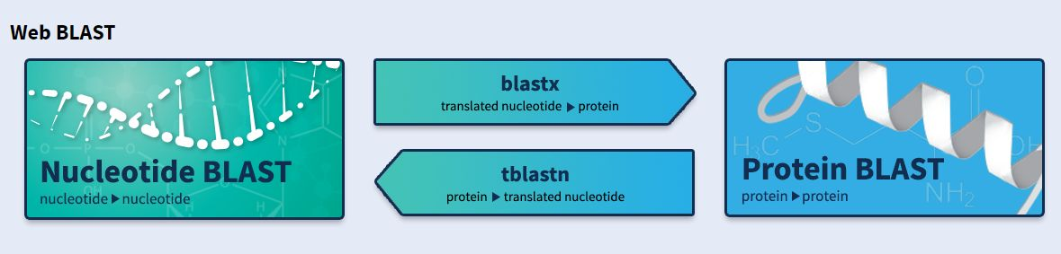 福利,如何看懂Blast结果图 福利,如何看懂Blast结果图