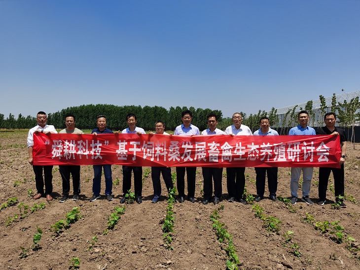 基于饲料桑发展畜禽生态养殖研讨会在高密市召开 基于饲料桑发展畜禽生态养殖研讨会在高密市召开