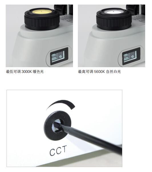 EX31可调色温实验室生物显微镜