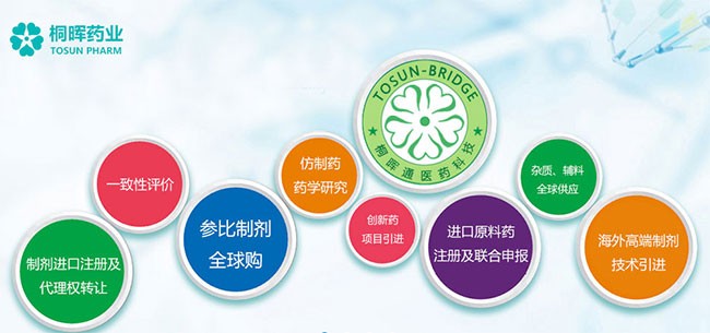 【桐晖药业】专业提供参比制剂一次性进口服务