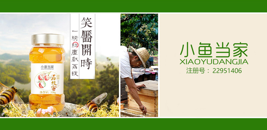 小鱼当家
