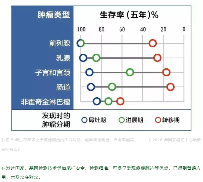 癌症最爱的 7 个字，小心「喂」出癌细胞