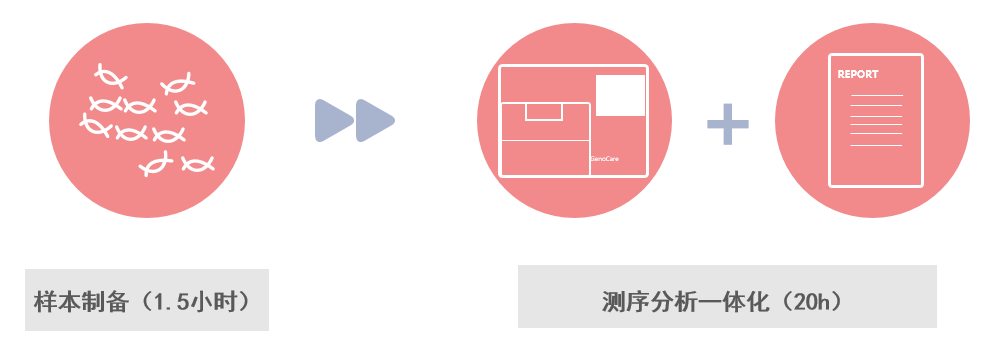 单分子基因测序平台GenoCare 1600 单分子基因测序平台GenoCare 1600