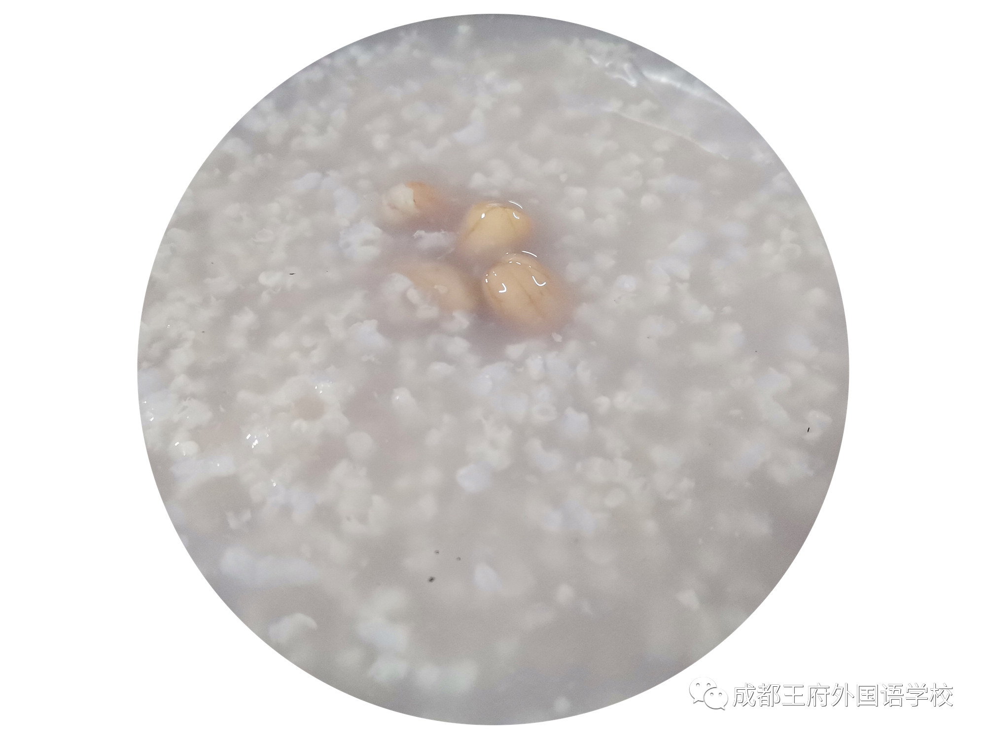 舌尖上的成都王府 | 下周营养食谱与美食教程来啦！