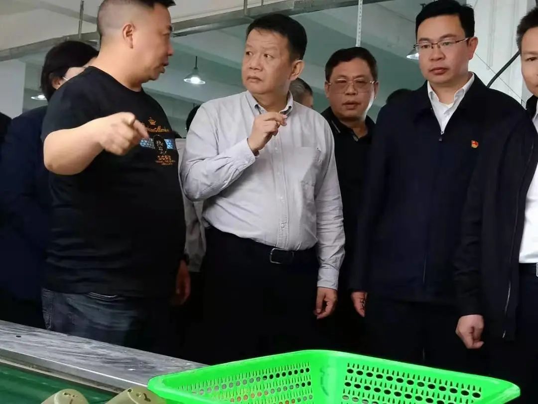 雄远动态 | 番禺区考察组莅临我所法律顾问单位开展调研帮扶工作 雄远动态 | 番禺区考察组莅临我所法律顾问单位开展调研帮扶工作