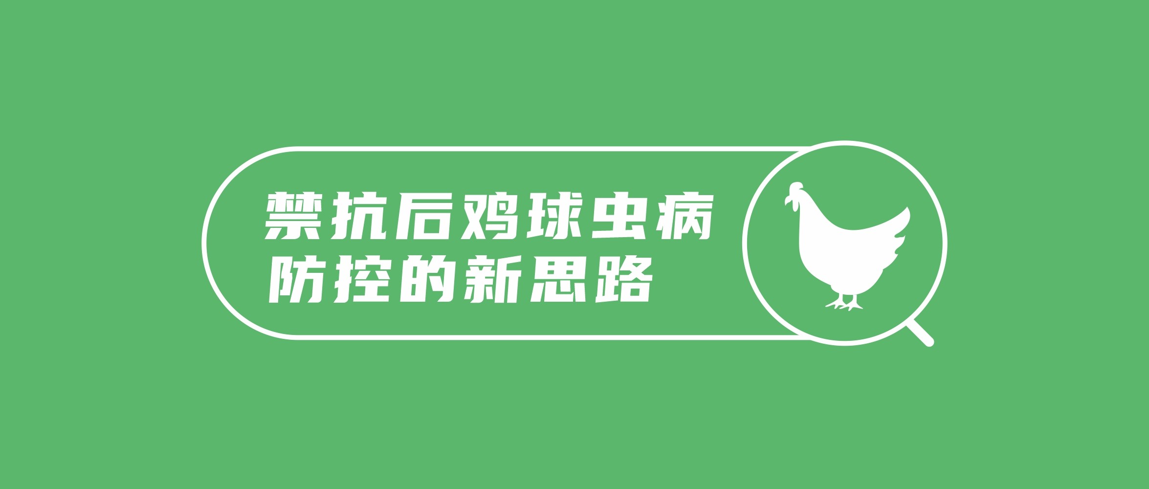 禁抗后雞球蟲病防控的新思路