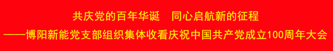 博阳新能党支部组织集体收看庆祝中国共产党成立100周年大会