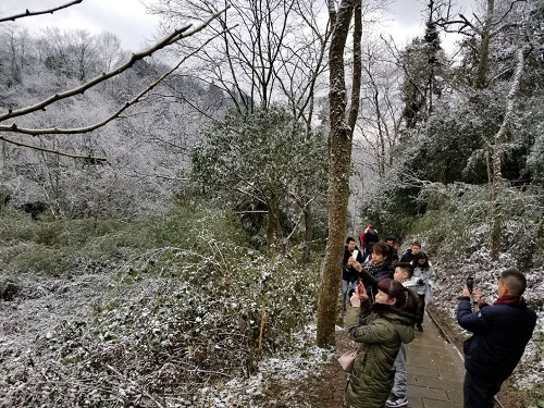 青城后山 都市人的“后花園”