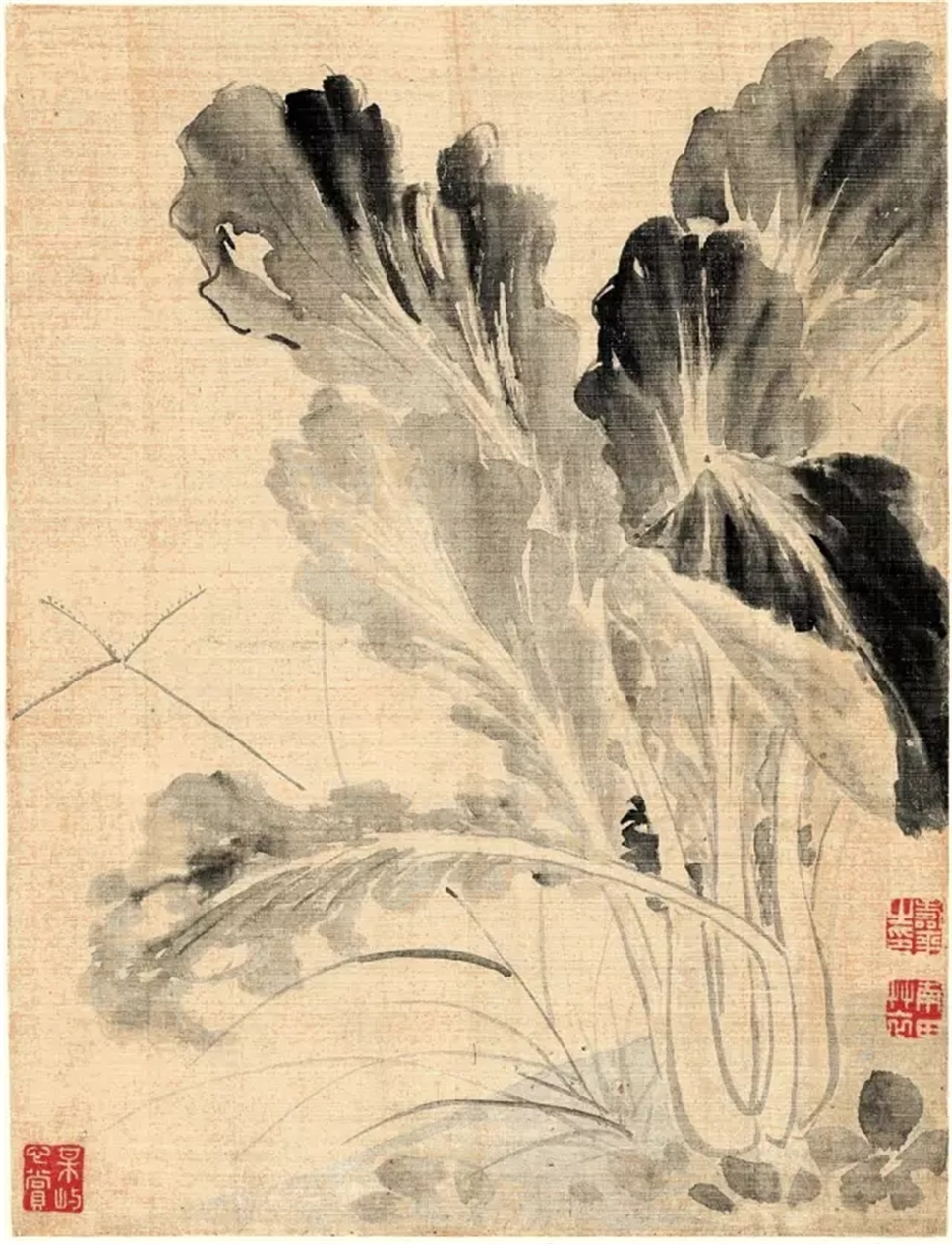 恽南田的没骨花卉画，实在太漂亮了！