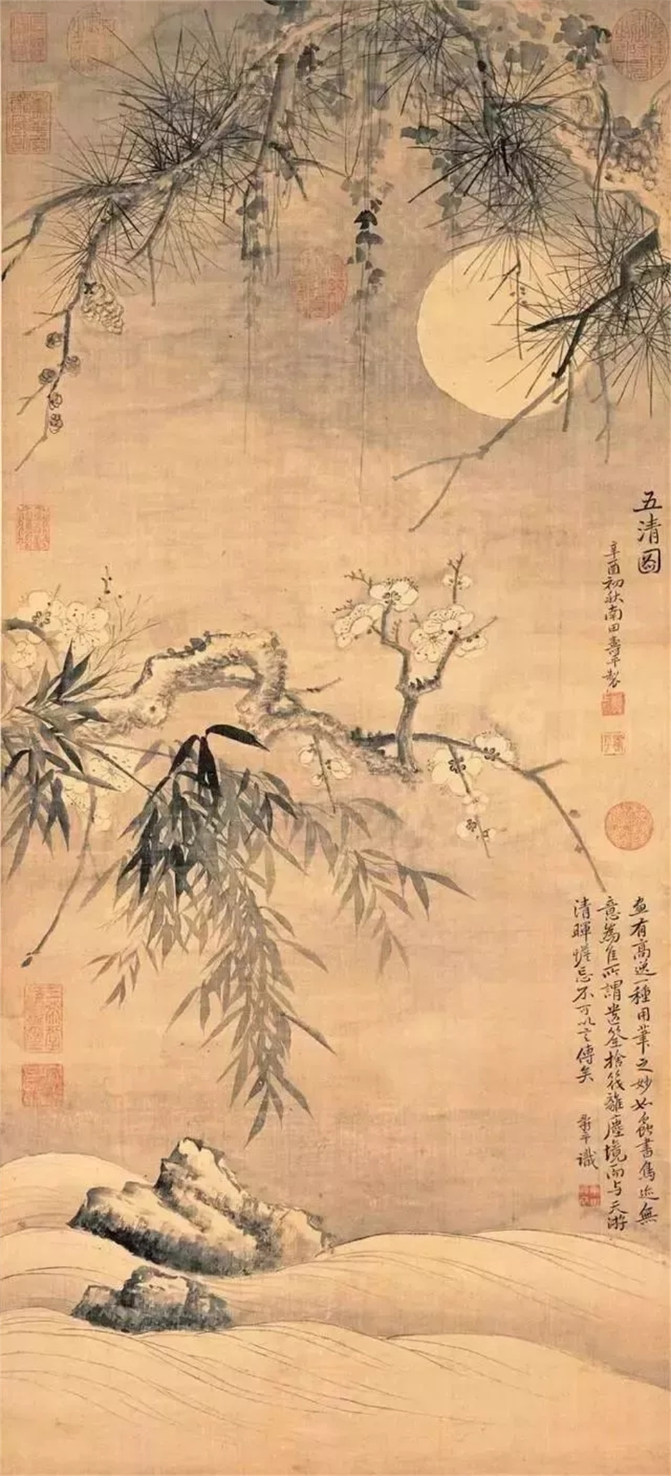 恽南田的没骨花卉画，实在太漂亮了！