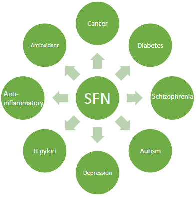 The Role of Sulforaphane The Role of Sulforaphane