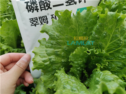 磷酸二氢钾如何使用能让蔬菜品质好