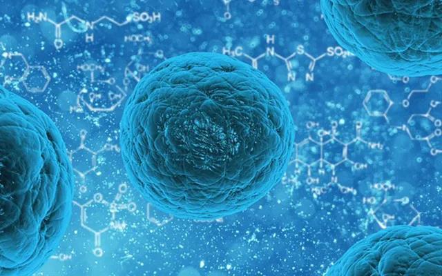 干细胞和免疫细胞，它们有什么区别？