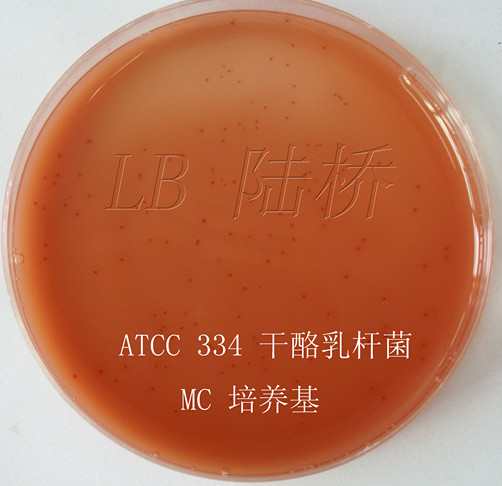 ATCC 334 干酪乳桿菌 MC培養(yǎng)基