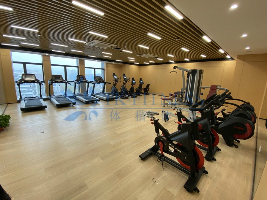 宝驰捷POSEGYM杭州健身器材跑步机厂家