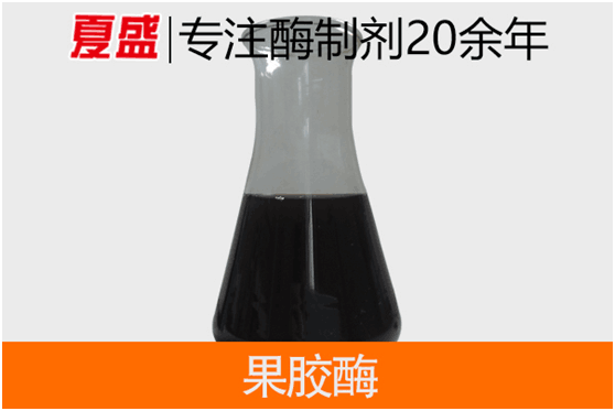 果胶酶 果胶酶