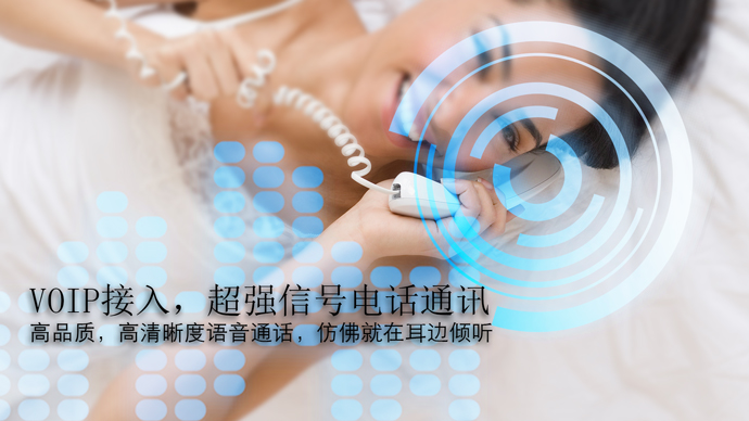 AK-G210 GPON