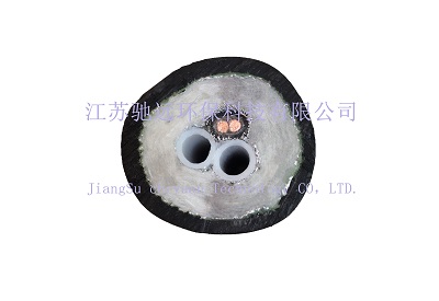 CY-800-DBR型CEMS電伴熱管 CY-800-DBR型CEMS電伴熱管