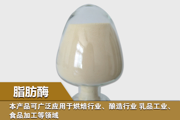 脂肪酶