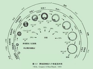 新華社二月國(guó)外科技新動(dòng)態(tài)匯總（五）