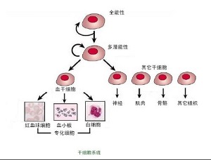 新華社二月國(guó)外科技新動(dòng)態(tài)匯總（五）