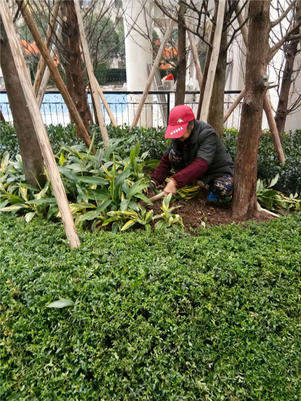 小区万博万博体育官网新万博最新版本下载 小区万博万博体育官网新万博最新版本下载