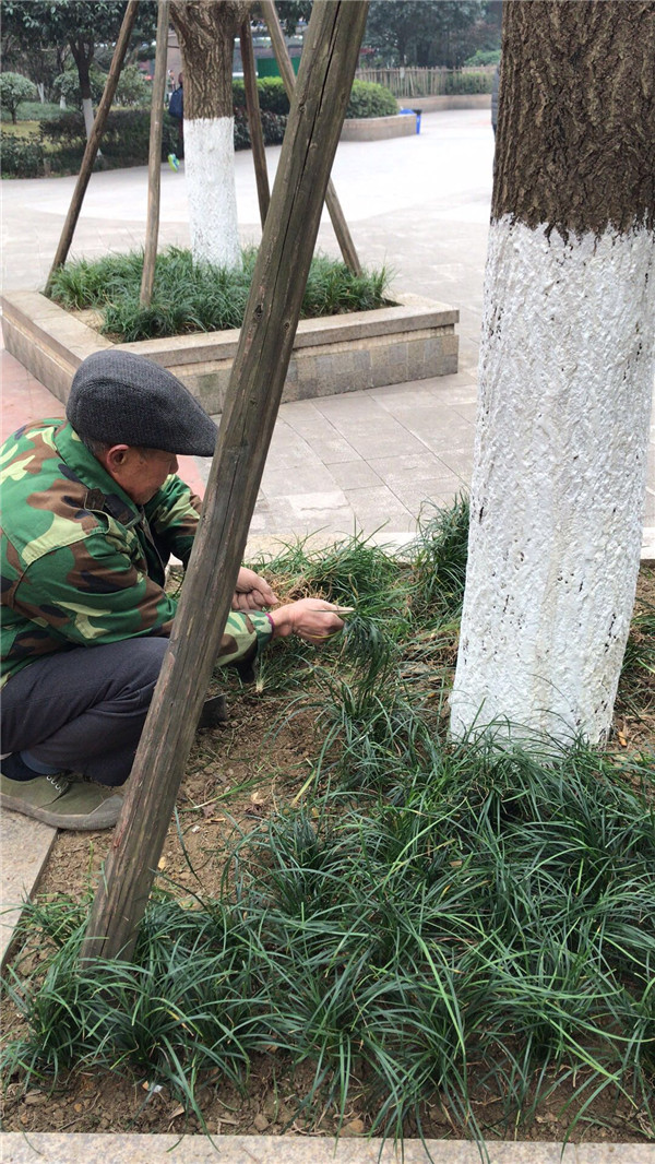 小区万博万博体育官网新万博最新版本下载 小区万博万博体育官网新万博最新版本下载