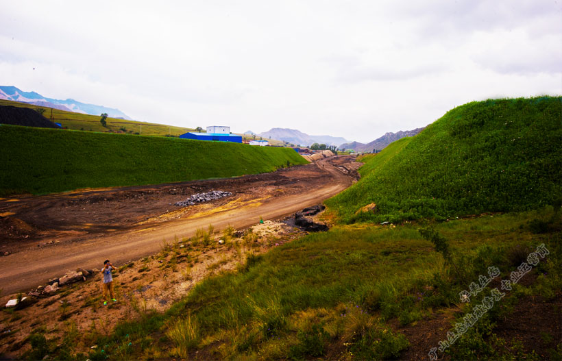 矿区矸石边坡植被修复工程