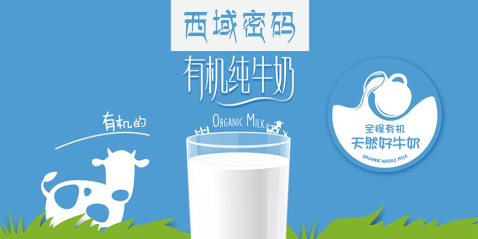 西域密码