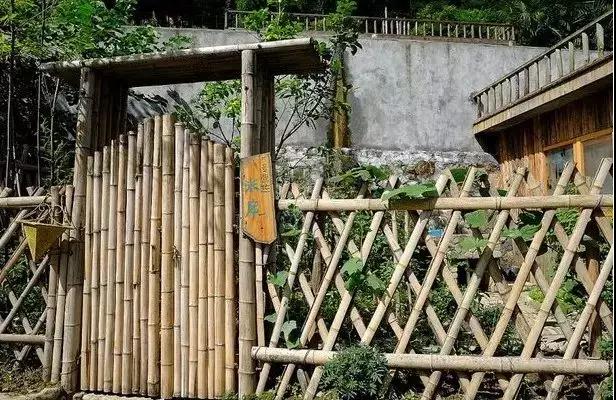 笨鸟视角|醉美自然,归于乡土 笨鸟视角|醉美自然,归于乡土