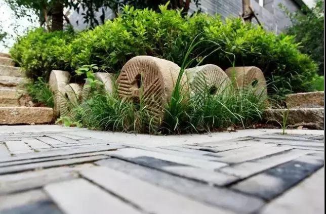 笨鸟视角|醉美自然,归于乡土 笨鸟视角|醉美自然,归于乡土