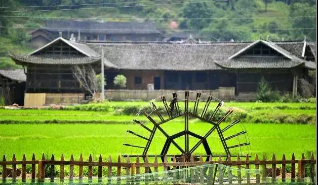 笨鸟视角|醉美自然,归于乡土 笨鸟视角|醉美自然,归于乡土