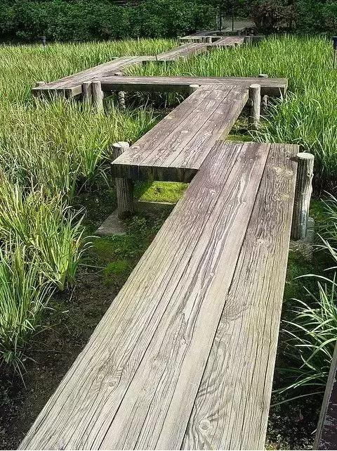 笨鸟视角|醉美自然,归于乡土 笨鸟视角|醉美自然,归于乡土