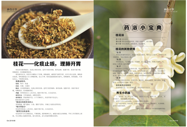 杂志08期