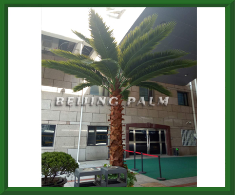 We just finished the landscaping project about artificial palm tree in Beijing West train station.