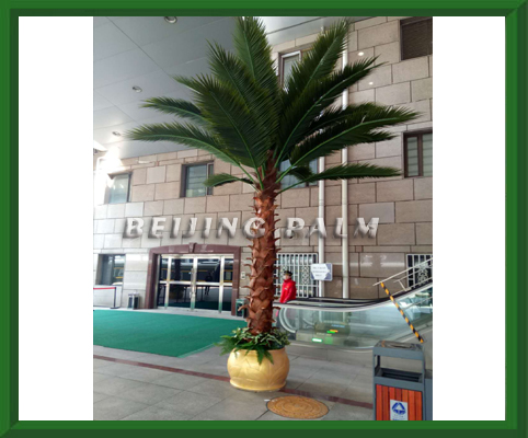 We just finished the landscaping project about artificial palm tree in Beijing West train station.