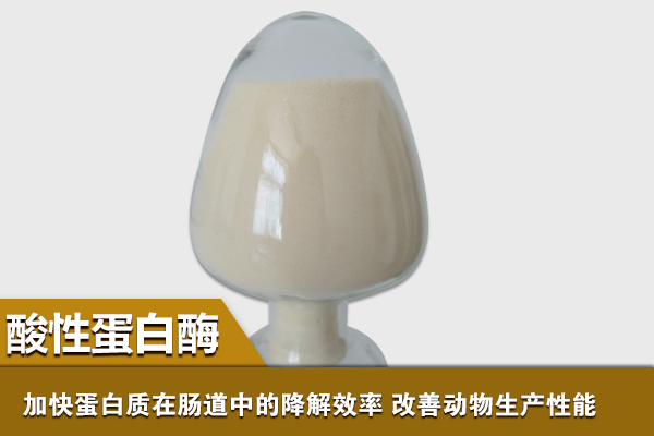 酸性蛋白酶 酸性蛋白酶