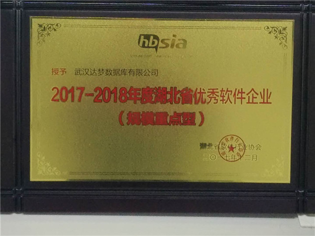 卓越盛典，再获殊荣——达梦荣获2017湖北省优秀软件企业奖