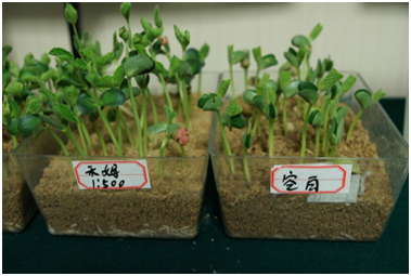 “减量用药、绿色防控”世科姆禾姆®护航江苏水稻生产提质增效 ——江苏省水稻种子处理技术研讨会顺利召开 “减量用药、绿色防控”世科姆禾姆®护航江苏水稻生产提质增效 ——江苏省水稻种子处理技术研讨会顺利召开